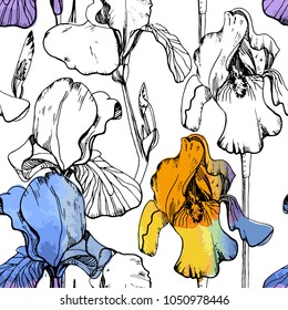 Vector illustration of seamless pattern with watercolor irises. Summer flower on white background. Floral wrapping paper.