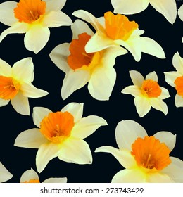 Vector Illustration of Seamless PAttern Watercolor Flower for Design; Website; Background; Banner. Water Colour Texture Element Template. White and yellow on Black Background