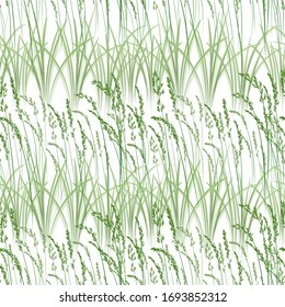 Vector illustration of seamless repeating background grass plant ornament in green color on white background