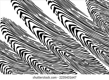 Vector illustration of seamless texture zebra pattern