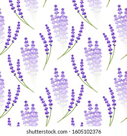 Vector illustration seamless Wallpaper lavender flowers delicate purple plants