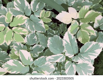  Vector illustration. Seamless white-green background of foliage