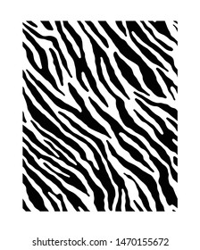 Vector illustration of seamless zebra pattern