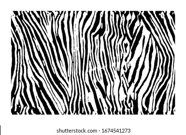 Vector illustration of seamless zebra pattern