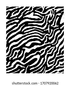 Vector illustration of seamless zebra pattern