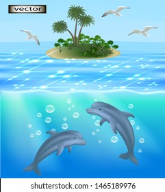 Vector illustration of seascape, seagulls of birds flying white birds in the sky over shining blue water in the sun and fish dolphins swimming under water 3D island with palm trees and tropical plants