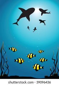 Vector illustration - seascape of sharks circling smaller fish