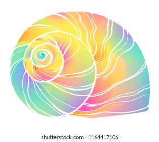 Vector illustration of the seashell