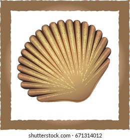 Vector illustration. Seashell brown
