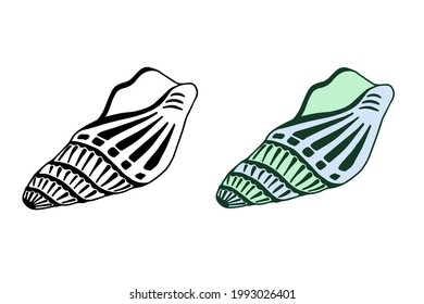 Vector illustration of seashell. The clam in two versions - colored and black outline. Design for log, banner, icon.