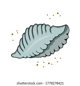 Vector illustration of a seashell, hand drawn in doodle style. Design for printing cards, poster, textiles, wrapping paper