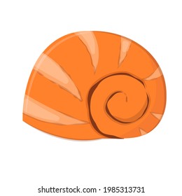 vector illustration of a seashell isolated on a white background