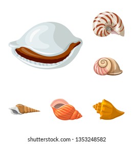 Vector illustration of seashell and mollusk icon. Collection of seashell and seafood  vector icon for stock.