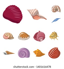 Vector illustration of seashell and mollusk icon. Set of seashell and seafood  vector icon for stock.