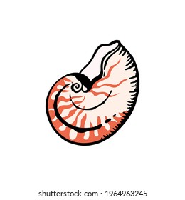 Ilustración vectorial de una concha marina. Tiras de moluscos de cáscara de Nautilus pompilius. Nautilus cephalopod aislado en el fondo blanco. 