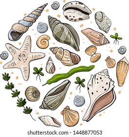 Vector illustration of seashells and algae. Isolated objects on white background.