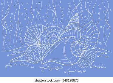 Vector illustration with seashells can be used for graphic design, textile design or web design.