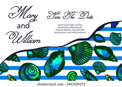 vector  illustration - seashells.  card  for birthday, wedding, valentine's day. 