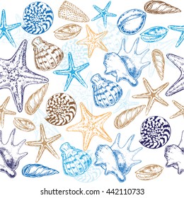 The vector illustration "seashells" for design