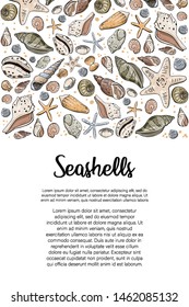 Vector illustration of seashells. Doodles seashells. Banner, template, invitation with seashells.