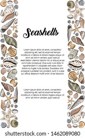 Vector illustration of seashells. Doodles seashells. Vector banner, template with seashells. Hand-drawn illustration of seashells.