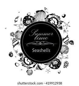 vector illustration of seashells in the style of hand drawn on the white background