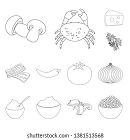 Vector illustration of seasonin and ingredient  logo. Set of seasonin and aroma stock vector illustration.
