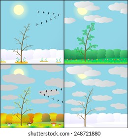 Vector illustration of seasons in the forest.