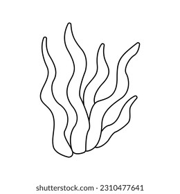 Vector illustration of Seaweed in doodle style. Isolated on white background.
