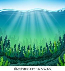 Vector Illustration Of Seaweed On The Ocean Floor