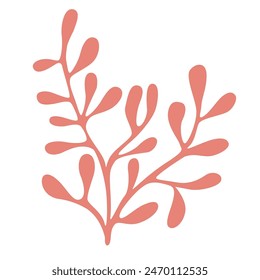 Vector Illustration of Seaweed on the White Background.