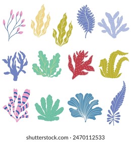 Vector Illustration of Seaweeds on the White Background. Set.