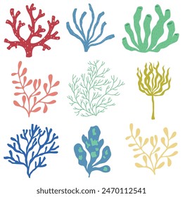 Vector Illustration of Seaweeds on the White Background. Set.