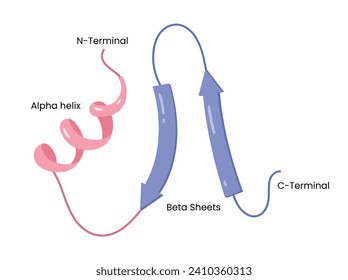  Ilustración vectorial de la estructura secundaria de proteínas, alfa hélice , hojas beta y confirmación de proteínas