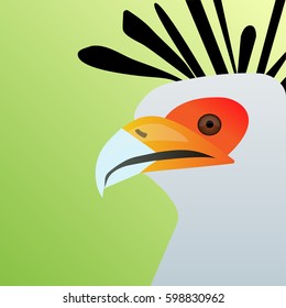 Vector illustration of a secretary bird sagittarius serpentarius