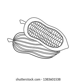 Vector illustration of seed and chocolate logo. Collection of seed and farm  vector icon for stock.