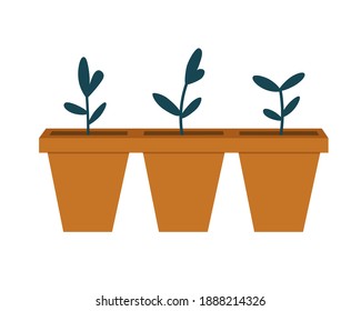 Ilustración vectorial de macetas de plántulas con plántulas aisladas en un fondo blanco. Concepto de flor casera, jardinería primaveral, floricultura. Conjunto de diseño plano a mano.