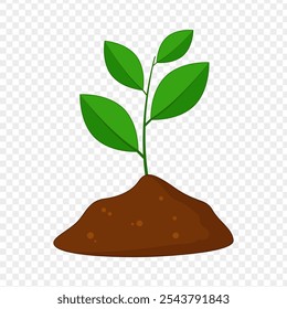 Vector illustration of seedling in soil on transparent background