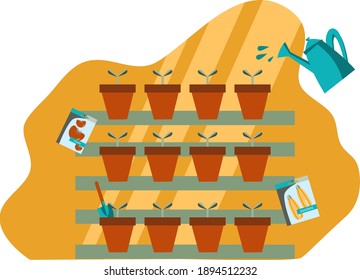 Vector illustration of seedlings. Seedlings in pots. Vegetable seeds. Planting and growing vegetables. Watering seedlings. Illustration for prints, flyers, booklets, brochures.