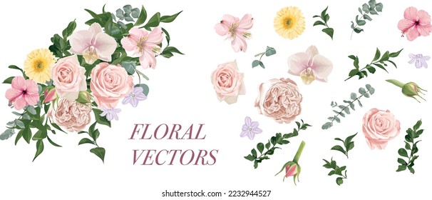 Ilustración vectorial, selección de follaje dibujado a mano y flores, para invitaciones, bodas, postales, tarjetas
