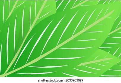 A vector illustration of a September green leaf pile, suitable for wall decoration, fabric patterns, wallpapers and for other business needs.