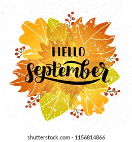 Vector illustration of "september" lettering on beautiful  autumn floral back. Hand drawn design for cards, postcards, invitation, banners. September logo. EPS 10