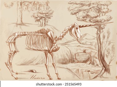 Vector illustration. Series of legendary animals and monsters (skeleton): UNICORN. Drawing comprise at least three layers of lines, the colored background is isolated. Editable in layers and groups.