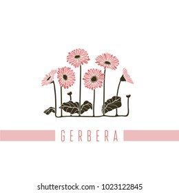 Vector illustration of a series of pictures with different flowers. The gerbera is depicted in a flat style.