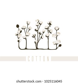 Vector illustration of a series of pictures with different flowers. The cotton is depicted in a flat style.