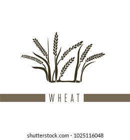 Vector illustration of a series of pictures with different flowers. The wheat is depicted in a flat style.