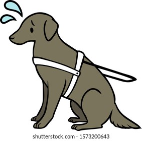 Vector illustration of a service dog(black) with burnt face