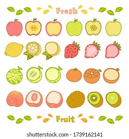 Vector illustration set of 8 kinds of colorful fruit with main line (whole & cross section)
