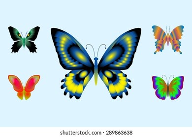 vector illustration set of abstract butterflies