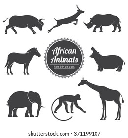vector illustration set with african wild animals on a white background / vector animals set